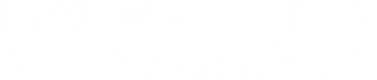 Bishop Bimbo Animashaun website identity