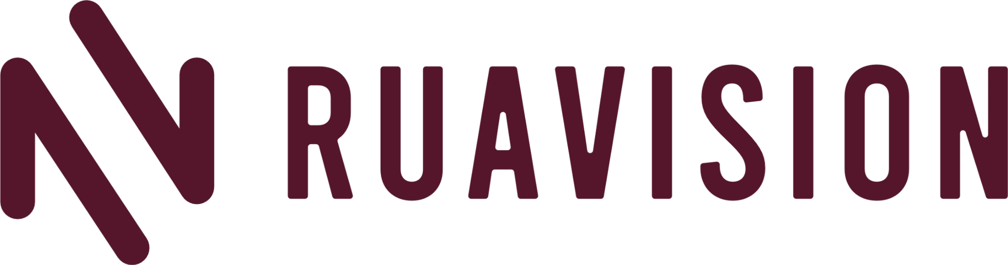 RuaVision primary logo